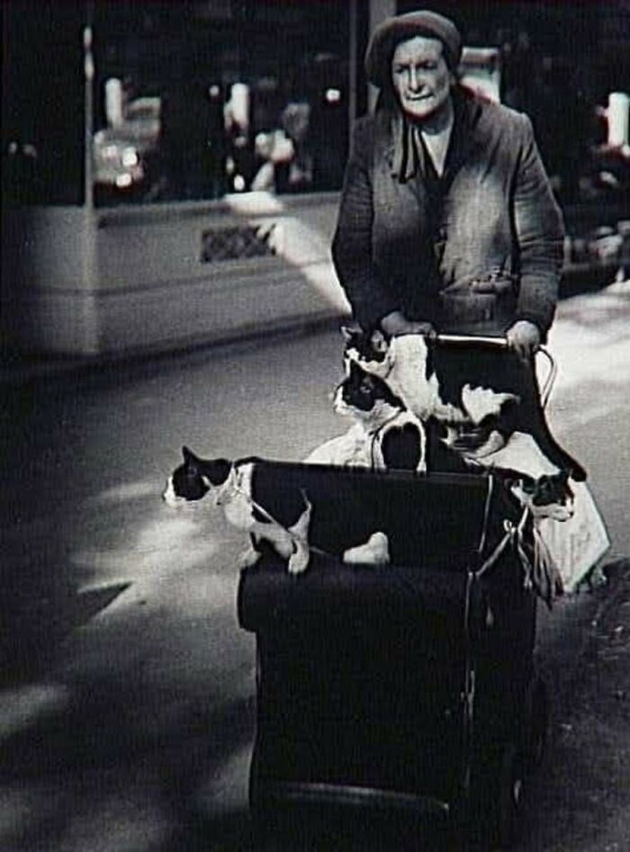 A nostalgic vintage photo depicting an elderly woman pushing several cats in a stroller along a city sidewalk