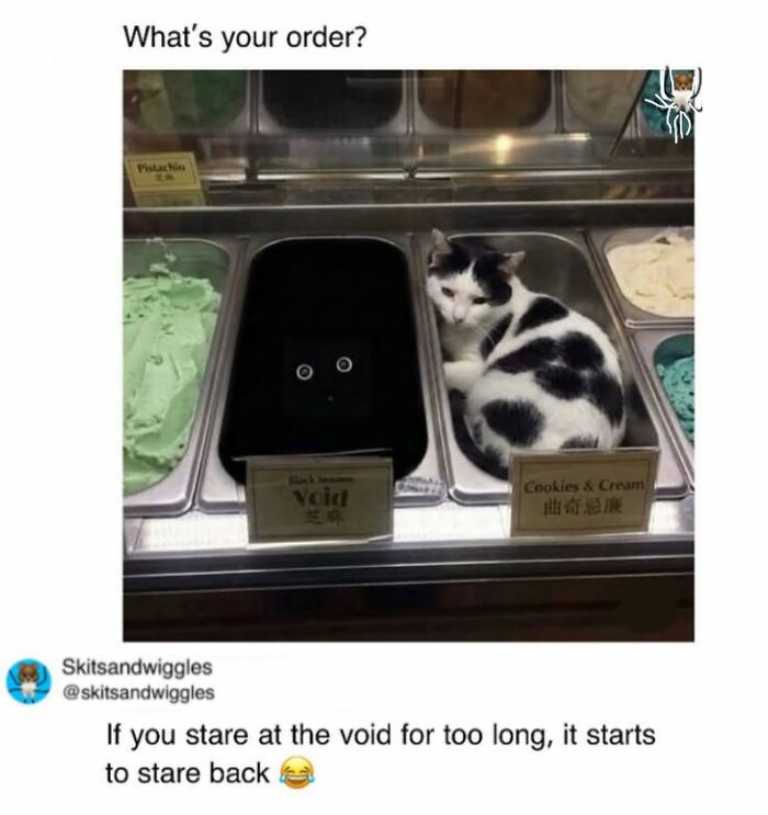 Random-Humorous-Memes