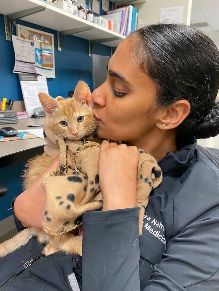 A vet technician gently kisses an orange tabby kitten wrapped in a patterned blanket during a vet appointment, showing affection.
