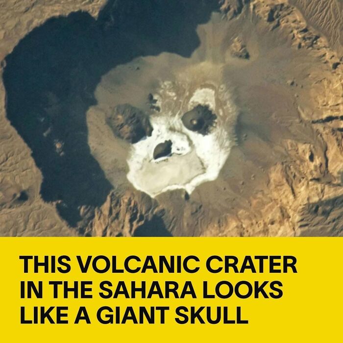 These Things Look Like Something Completely Different, And Our Brains Can’t Unsee It (64 Pics)