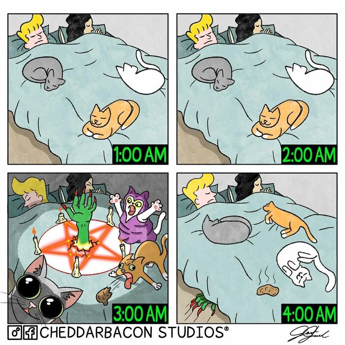 A comic exaggerating the insanity and relatability of being an adult, showing cats sleeping on a person in bed, then causing chaos.