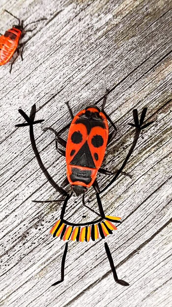 A red firebug transformed into a ballerina with playful illustrations on a wooden surface
