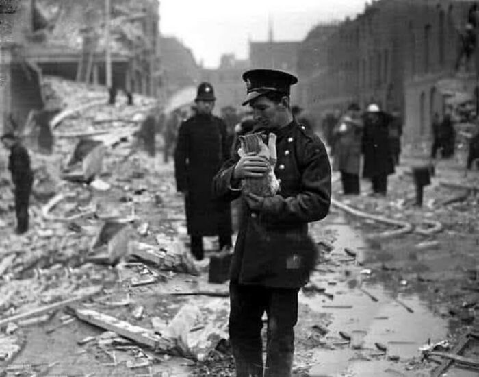 A poignant vintage photo of a police officer cradling a rescued cat amidst the rubble of a bombed street