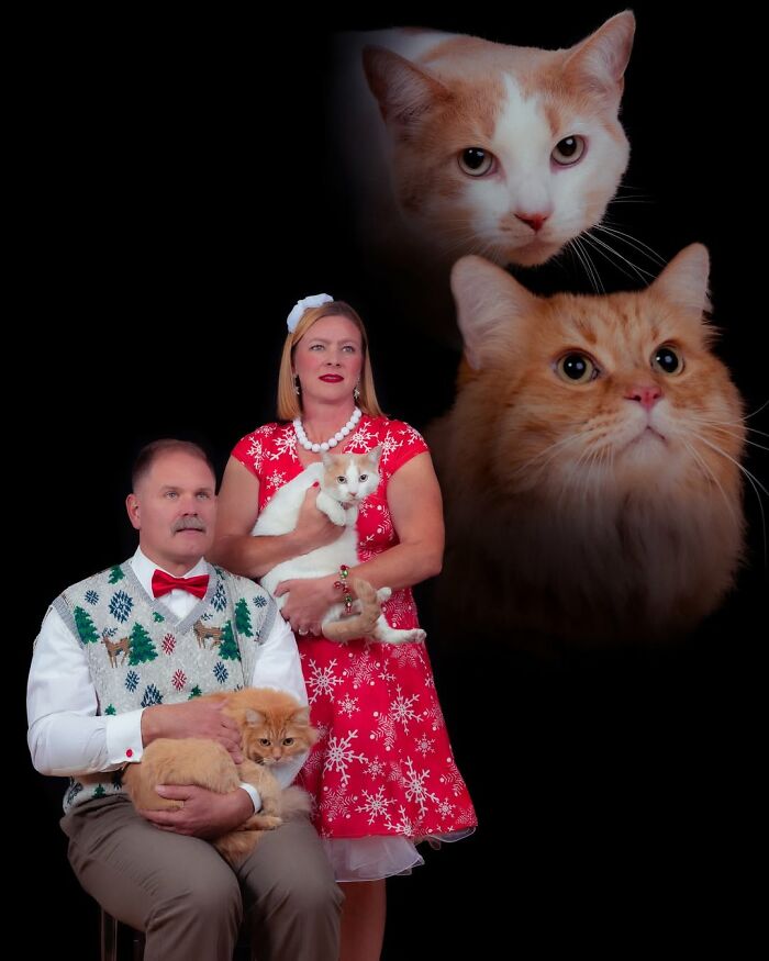 Quirky portraits of pets and their owners: A couple in festive attire holds cats, with two ethereal cat heads in background.
