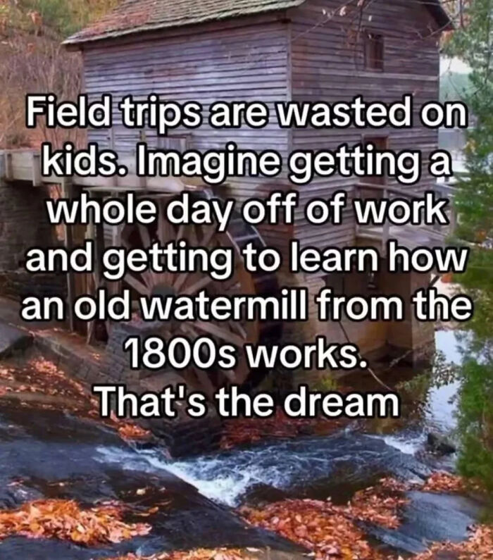 A hilariously relatable meme about adults appreciating field trips to an old watermill.