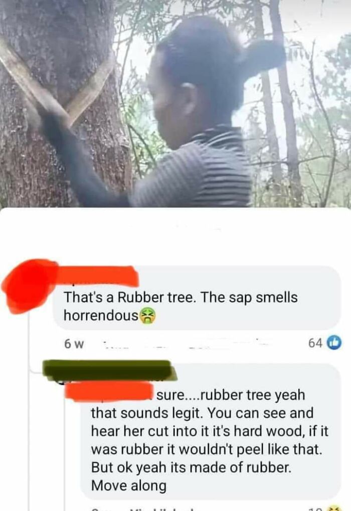 Facebook comment arguing about rubber tree sap smell and wood peeling