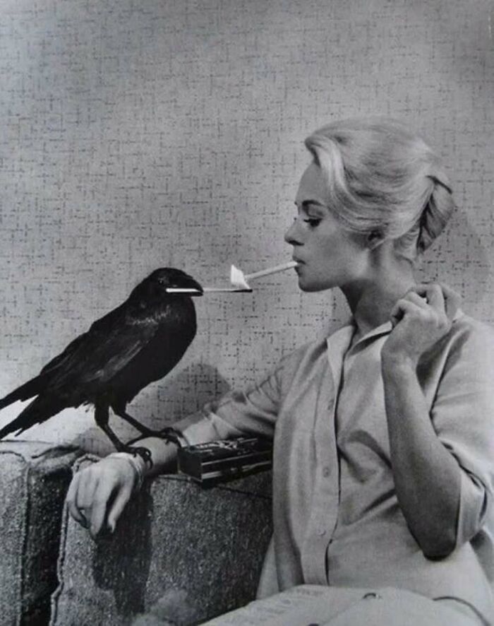A woman and her pet crow holding a match, from a collection of old photos of animals.