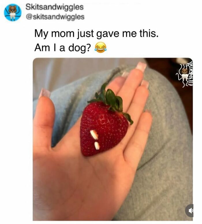 Random-Humorous-Memes