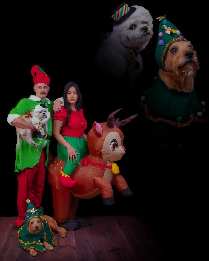 A couple in Christmas elf outfits poses with their dogs, one dressed as an elf and the other held. An inflatable reindeer and floating dog portraits complete this silly and quirky scene of pets and their owners.