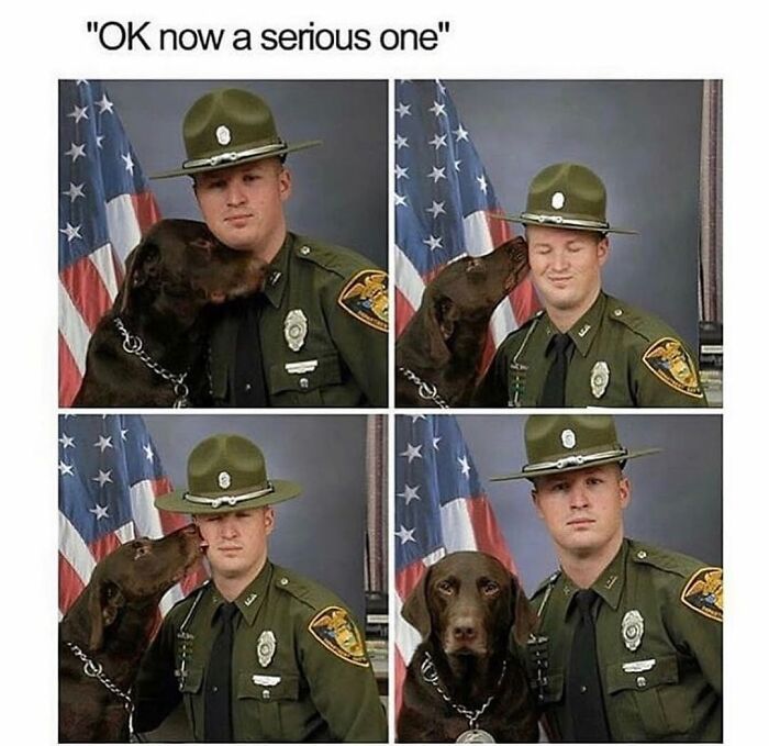 A police officer with a chocolate lab dog, posing for pictures, a dog meme showing heartwarming cuteness.