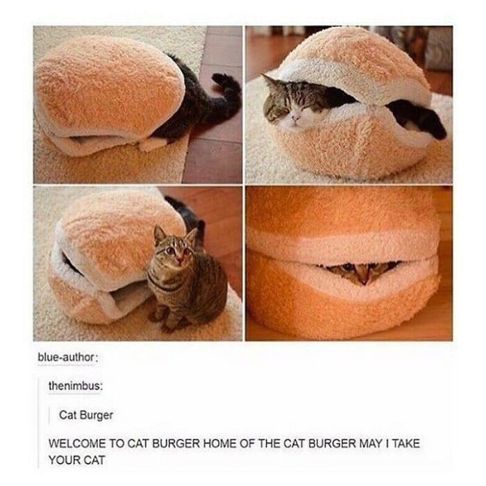 A funny cat meme showing a cat emerging from a burger-shaped cat bed, labeled 'Cat Burger'.