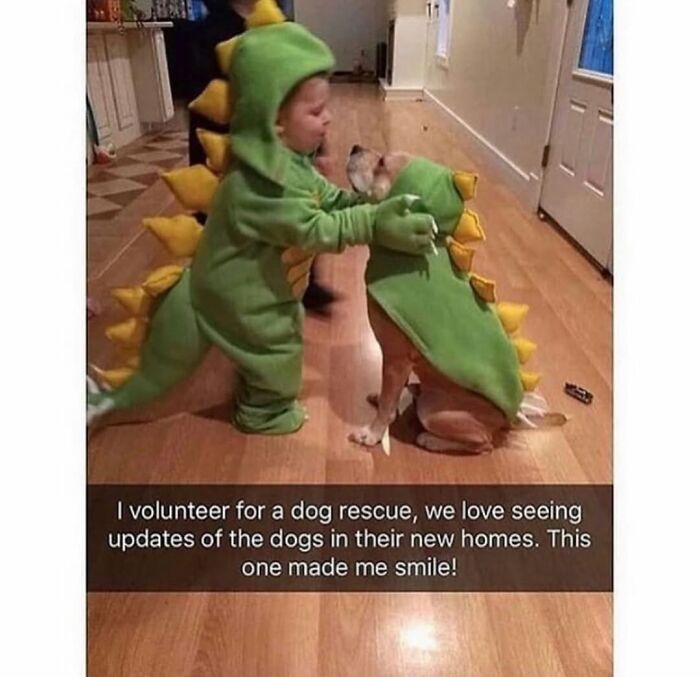 Child in a dinosaur costume hugging a dog also in a dinosaur costume, showcasing dog cuteness.