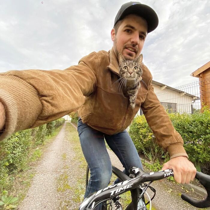 Owner brings his cat everywhere, cycling with the cat peering from his jacket for crazy adventures.