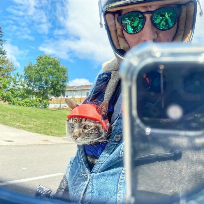A cat owner takes a selfie with his cat, both wearing helmets, ready for more crazy adventures.