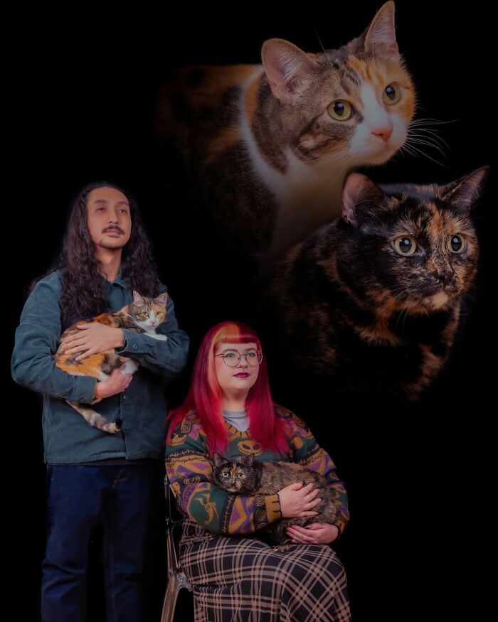 A couple sits with their two cats, all against a black background. Portraits of the two cats float above them. This silly and quirky portrait captures pets and their owners.