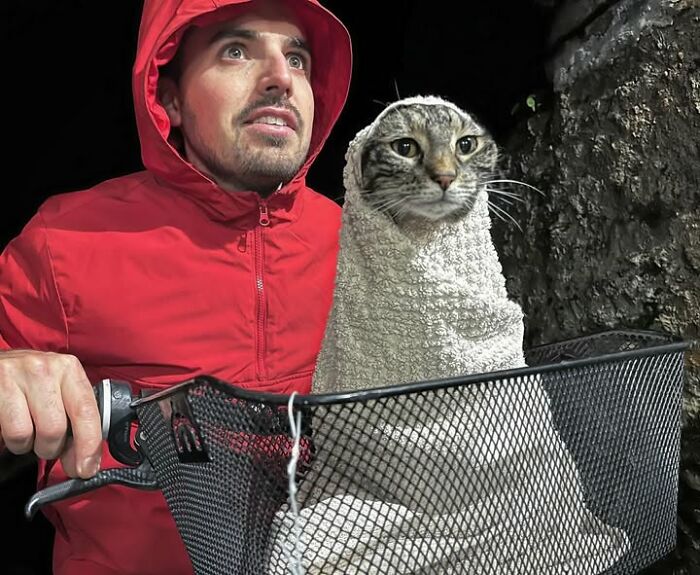 Owner on a bike with cat wrapped in a towel in the front basket, ready for more adventures.