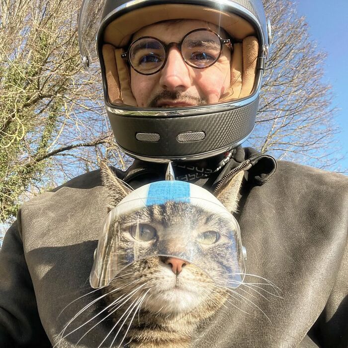 Owner and cat in matching helmets, prepared for more crazy adventures on a sunny day.