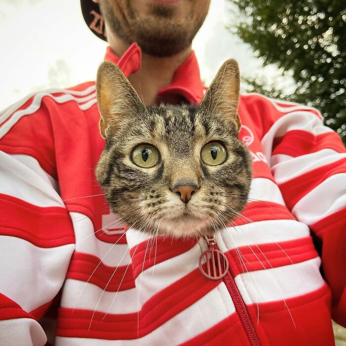 Owner and cat share a jacket, with the cat peeking out for fun adventures.