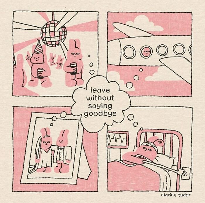 Pink rabbit reflecting on leaving without saying goodbye at party, plane, photo, and hospital