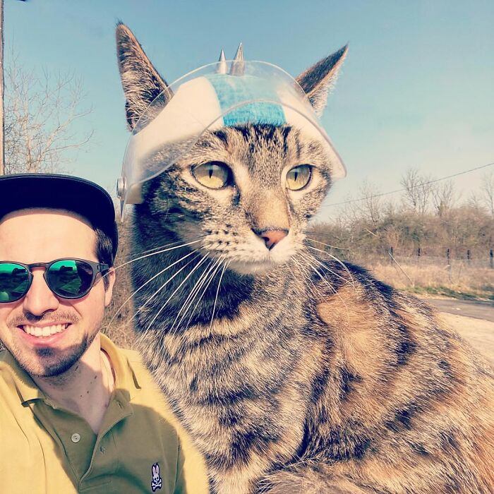 Owner bringing his cat everywhere, posing for a selfie with the cat wearing a small spiked helmet.