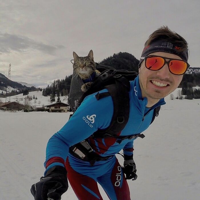 Owner bringing his cat everywhere on crazy adventures, skiing with the cat in a backpack in a snowy landscape.