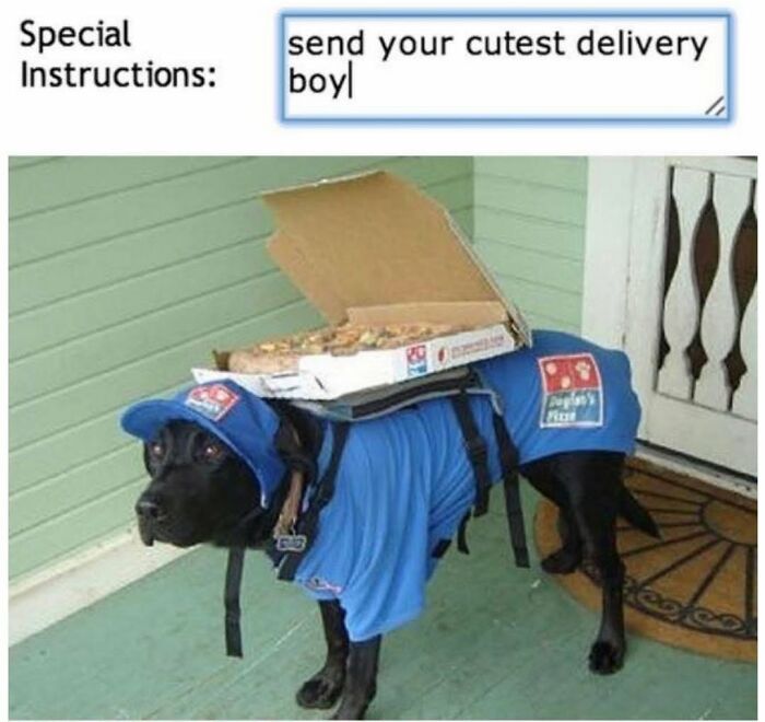Dog memes illustrating a black dog in a pizza delivery uniform, carrying a pizza box.