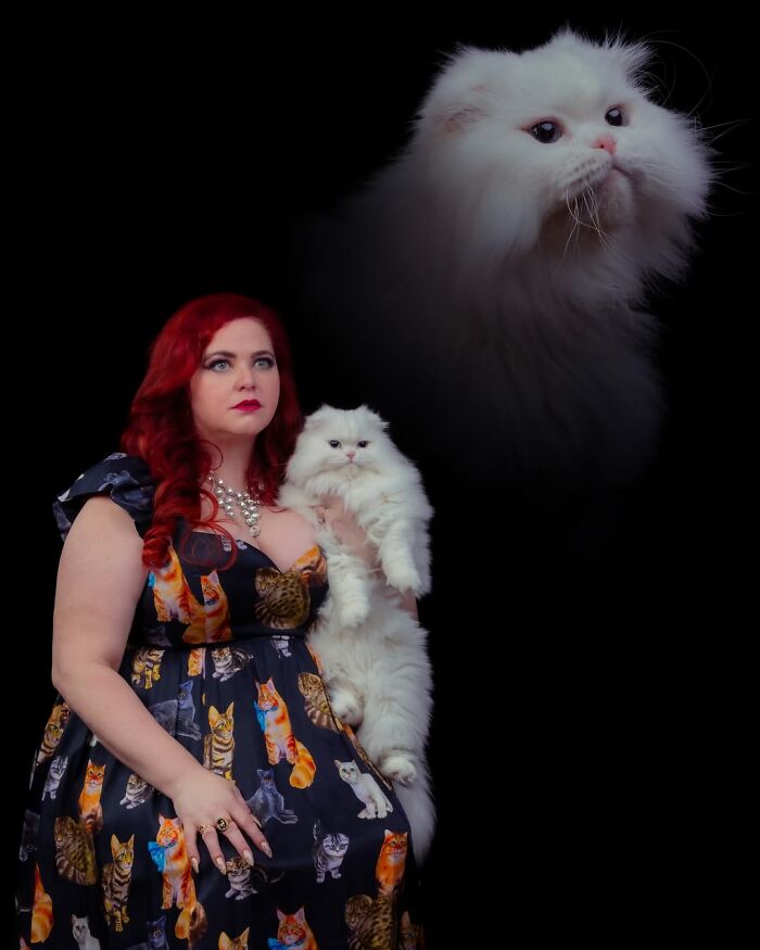 Quirky portraits of pets and their owners: A woman in a cat-print dress holds a white Persian cat, with another cat head above.
