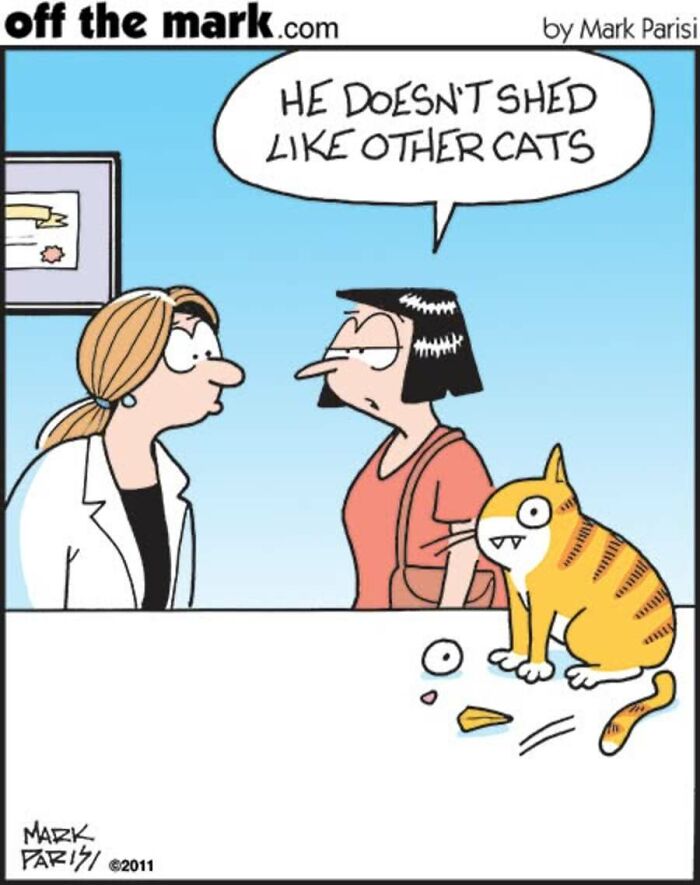 An off the mark comic by Mark Parisi featuring a cat owner discussing shedding with a veterinarian.
