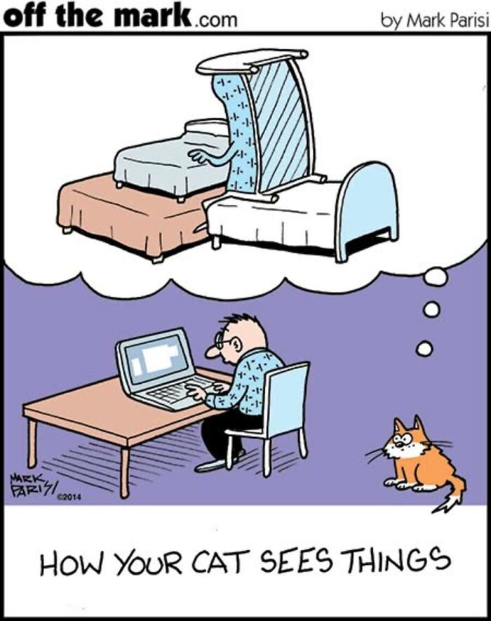 A comic by Mark Parisi illustrating how a cat owner is viewed as a bed maker by their pet.