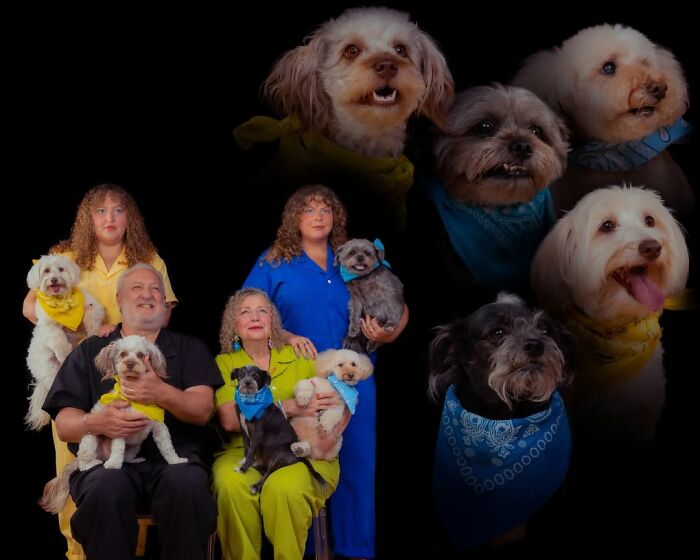 Quirky portraits of pets and their owners, showcasing a large family with several dogs, some wearing bandanas, on a black background.