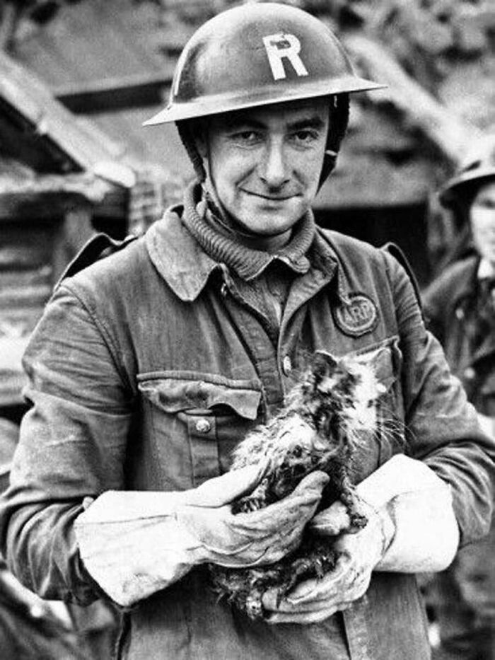 Vintage cat photo of a smiling soldier in uniform holding a rescued kitten during wartime