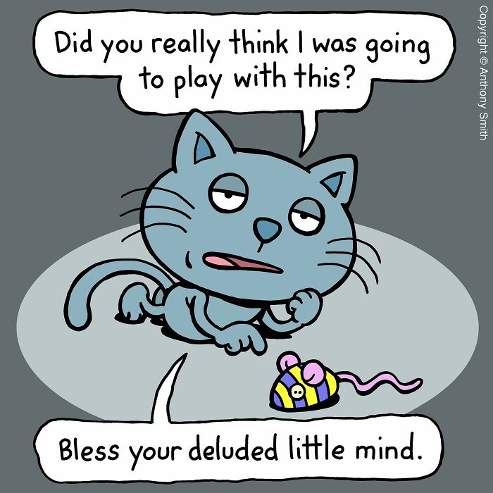 An illustration of a cat looking unimpressed with a toy mouse, illustrating a cat's playful yet discerning nature.