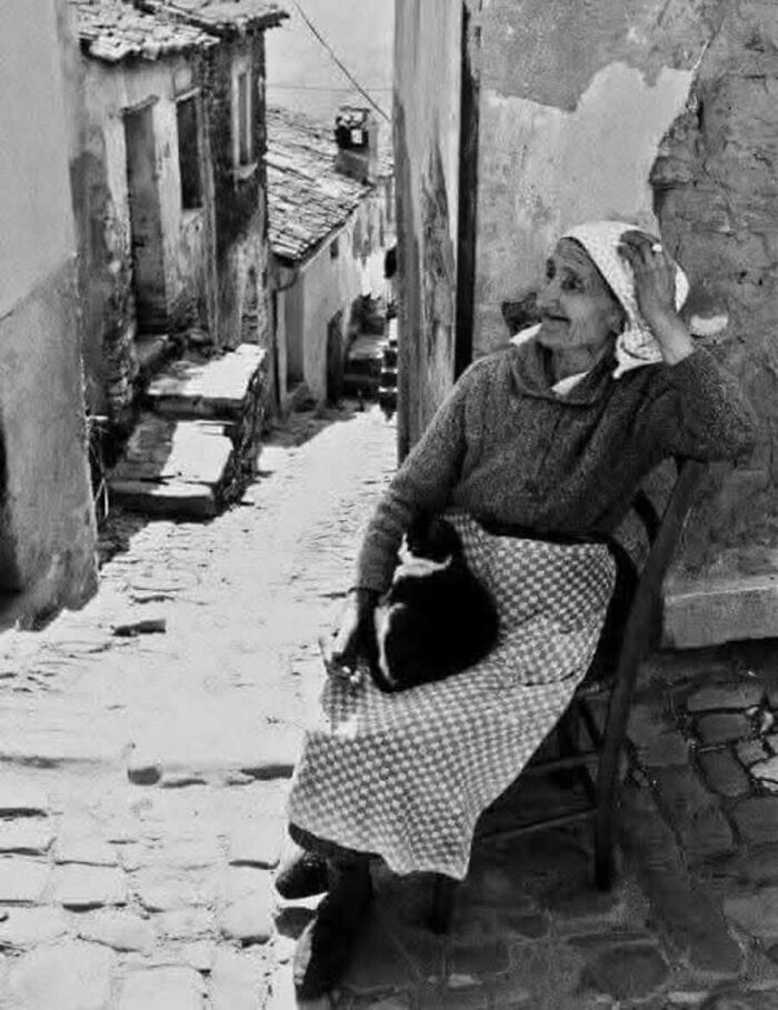 Vintage cat photo showing an elderly woman sitting in a chair on a cobbled street with a cat on her lap