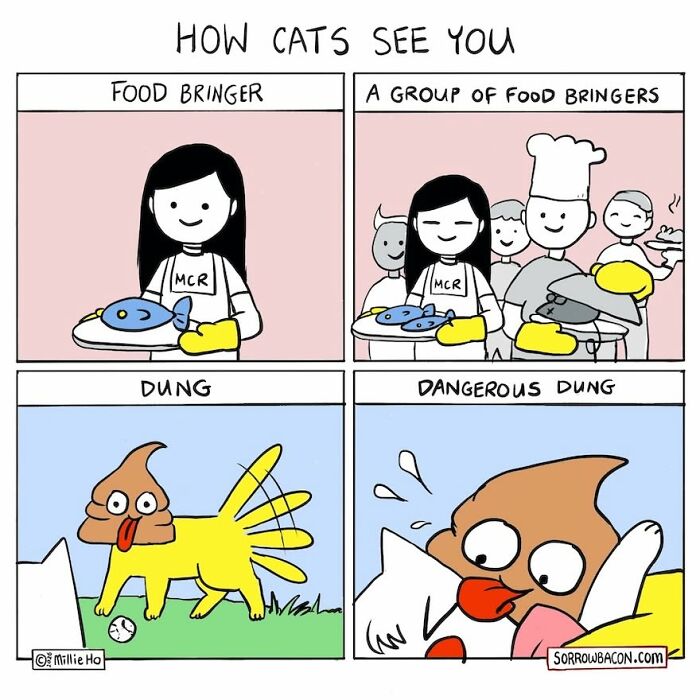 A funny comics panel depicting how cats see humans, evolving from food bringers to dangerous dung.