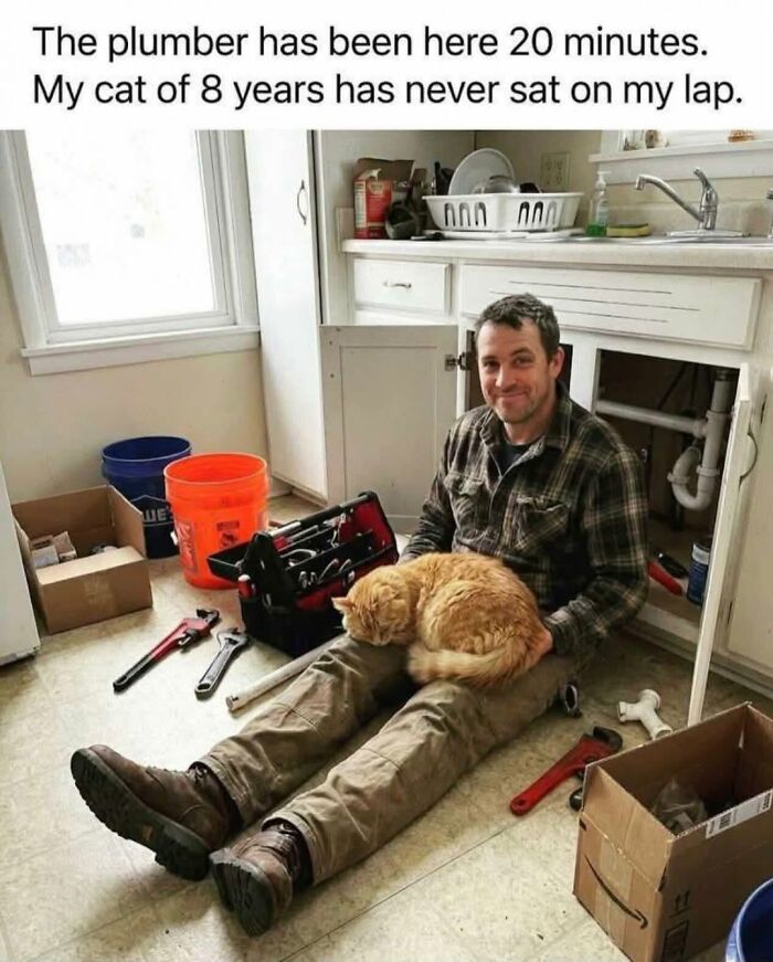 Funny cat memes: an orange cat sleeping on a man's lap, while he sits on the floor with plumbing tools around him.