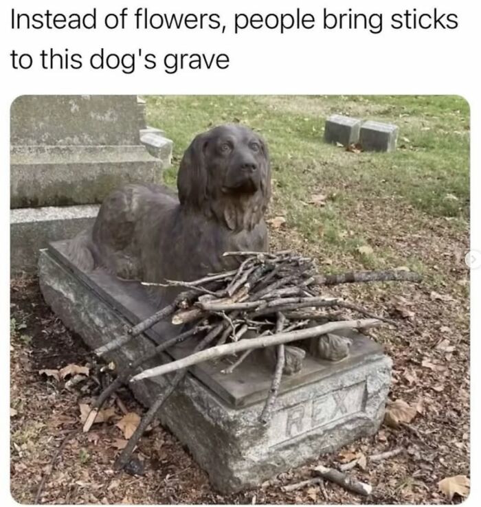 Touching dog memes showing a statue of a dog at a grave covered in sticks left by visitors.