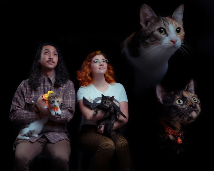 Quirky portraits of pets and their owners featuring a couple holding cats, with floating cat heads on a black background.