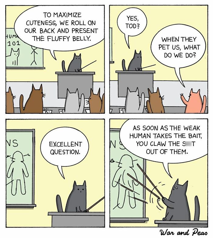 50 Hilarious Cat Comics By ‘War And Peas’ That Capture The Chaos Of Living With Feline