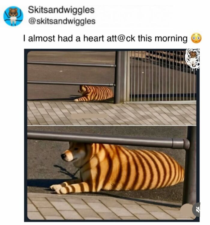 Random-Humorous-Memes