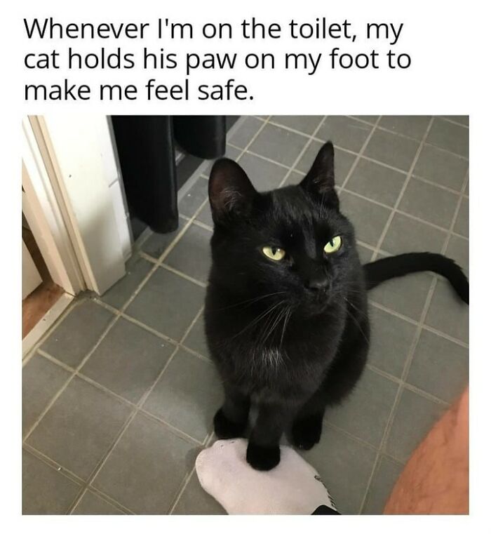 Funny cat meme: a black cat with green eyes sitting on a person's foot, making them feel safe.