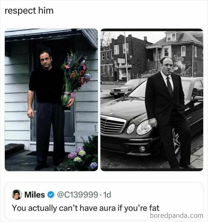 A meme contrasting two images of Tony Soprano, a notable pop culture post providing instant good vibes.