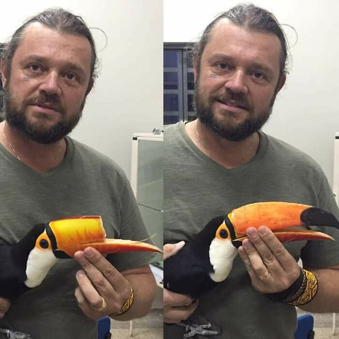 A man holds a toucan with a newly attached 3D printed prosthetic beak, showing a brilliant custom fix.