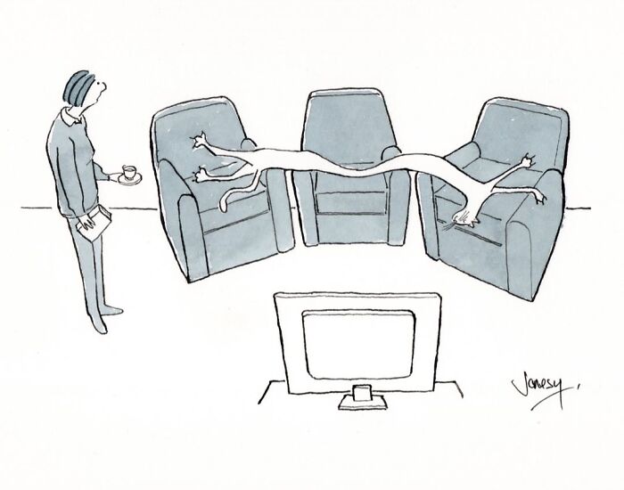 A Jonesy cartoon: A person holding a teacup, looking at two long, stretched cats spanning three armchairs, a dry cartoon.