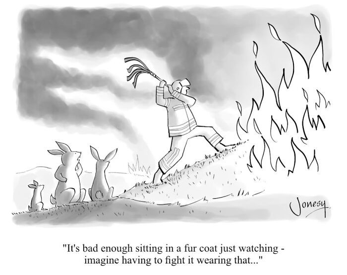 A Jonesy cartoon of rabbits watching a firefighter battling a blaze in a fur coat. This brilliantly dry cartoon reflects the absurdities of everyday life.