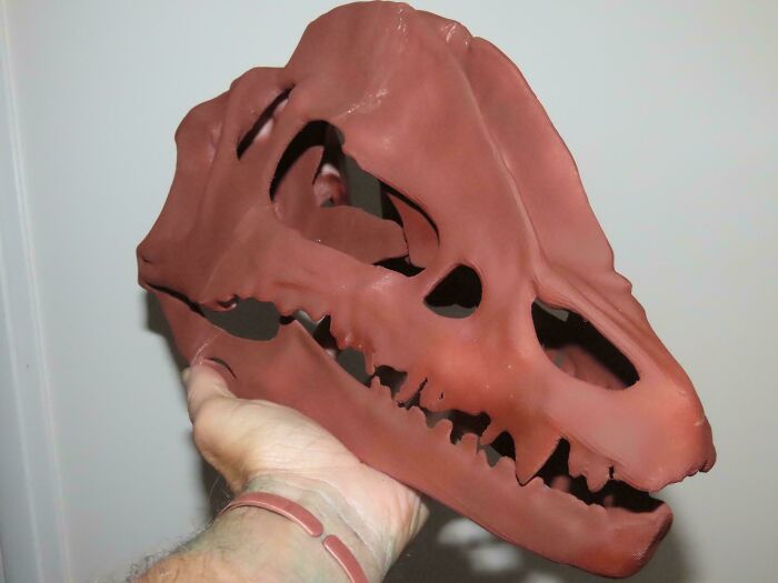 Detailed 3D printed dinosaur skull, a brilliant example of 3D printers.