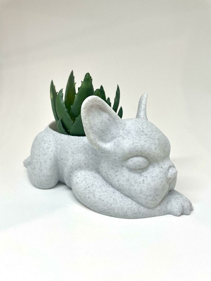 A charming bulldog-shaped planter, a brilliant creation made using 3D printers, holding a small succulent plant.