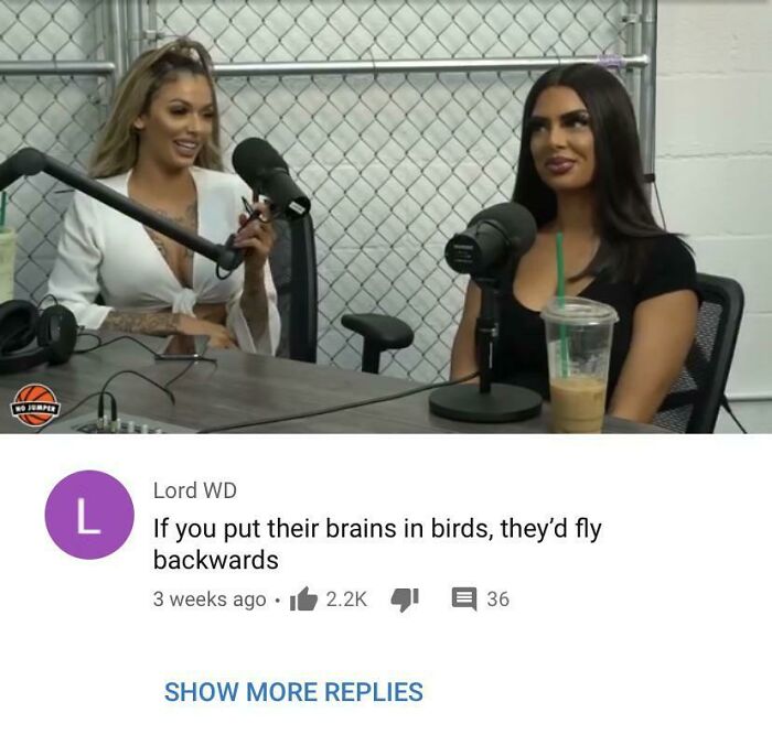 People finding gold in YouTube comment section: Lord WD's comment about two women's brains.