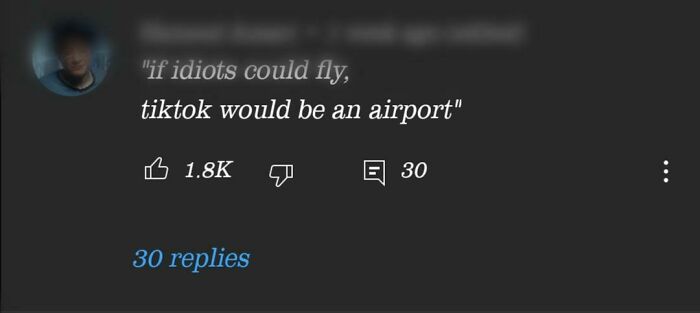 People finding gold in YouTube comment section: A user's comment about TikTok being an airport if idiots could fly.