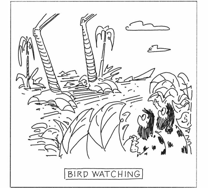 Cavemen comics showing two cavemen bird watching, looking up at large bird legs.