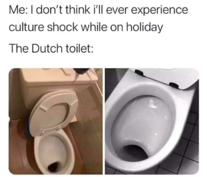 A meme displays an unusual Dutch toilet with a shallow bowl, illustrating a culture shock moment and a Roses Are Red rhyme setup.